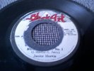 JUNIOR MURVIN    ROOTS TRAIN NO.1   ,BLACK ART  , LEE PERRY ROOTS