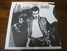 Adam and the ants LP Madam Stan S&M Label unreleased tracks 4 pictures