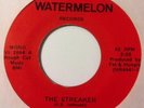 FAT & HUNGRY - The Streaker - WATERMELON - RARE -- GARAGE PSYCH FUZZ 45 EX+
