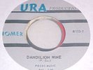RARE TEXAS PSYCH - HOMER - DANDILION WINE b/w I NEVER CARED FOR YOU - R123-7