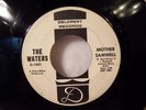 GARAGE PSYCHE 45 - THE WATERS  - 