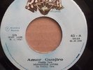 HERMANDAD LATINA FREDDY TARA SALSA GUAGUANCO PERU EX