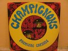 Champignons 