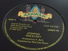 Ras Elroy Stepping Rare Killer Roots 12