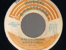 HORACE MARTIN - AFRICA IS CALLING / ROOTS RADIX - AFRICAN CONNECTION      7