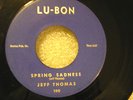 JEFF THOMAS Lu-Bon Spring Sadness I'm Beginning to See the Light R&B Popcorn 45