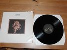 Sophia - Fixed Water 12