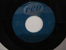 THE DEVERONS (POP) 45RPM - SHE//FARMER JOHN