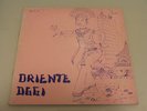 RINO DE FILIPPI - ORIENTE OGGI