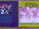 GTO'S-PERMANENT DAMAGE. Rare Zappa produced.