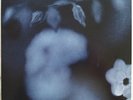 SUN KIL MOON DUK KOO KIM 10