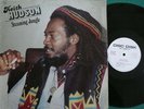 KEITH HUDSON - STEAMING JUNGLE ORIG US DISC DISK LP VG+/EX