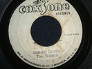 THE WAILERS - SIMMER DOWN (Ska) 45