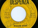 THE IVORYS Please Stay RARE NORTHERN SOUL 45 DESPENZA 12266