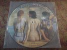 Pink Floyd mint Picture Disc Rare Beauties