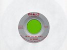 THE ROGUES I'M NOT THAT WAY AT ALL INDY PRIVATE PRESS STO-VA-CO GARAGE ROCKER