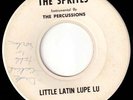 GIRLS IN THE GARAGE Style '60s PRIVATE PRESS Garage 45 - SPRITES & PERCUSSIONS