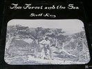 SCOTT KEY This Forest and the Sea  LP RARE PRIVATE FOLK PSYCH ACID ARCHIVES
