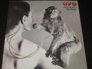UFO  UK 1st press LP No Heavy Petting on Chrysalis  mint-  HEAVY PROG