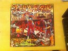 Yeah Yeah Yeahs - Fever To Tell (Picture Disc)