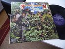 SAVOY BROWN A STEP FURTHER IN MINT BLUES ROCK HAMMER
