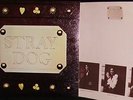 MINT   1st LP = STRAY DOG = FASTEN YOUR SEAT BELTS = HARD HENDRIX BLUES