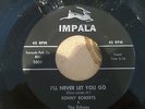 RARE ROCKABILLY/ROCK & ROLL/DOO WOP/R&B - SONNY ROBERTS & THE ECHOES