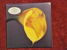 SWANS The Burning World RARE PROMO FIRST PRESSING LP Joy Division SUNN Neurosis