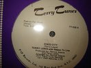 Terry Lewis DISCO CITY PATRICK ADAMS P&P RECORDS PRIVATE PRESS 12