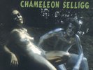 CHAMELEON SELLIGG very rare greek psych vinyl LP sexy nude cover