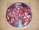 CARCASS-Symphonies Of Sickness PICTURE LP Earache 1990