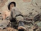 LP:Warm Dust,Peace For Our Time (Trend)-WASHED