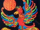 RARE BIRD SELF TITLED FIRST PRESS.RARE PROG-ROCK LP ON CHARISMA SCROLL LABEL