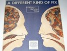 BOMBAY BICYCLE CLUB A DIFFERENT KIND OF FIX   LP  RAR