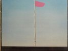 Wire -- Pink Flag -- 12