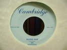 THE RENEGADES She's Your Find B/W Raving Blue MI Garage PUNK NM 45, Scarce