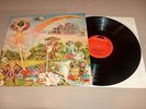 BARRY HAY - only parrots, frogs and angels, Dutch psych/rock EX golden earring
