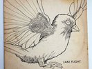 TAKE FLIGHT PRIVATE PRESS PSYCH FOLK LP LATITUDES POKORA 1975