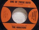 45 Garage Rock THE ROOSTERS One Of These Days 1966 Progressive Sounds Of America