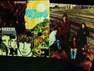 1967 Orig + COLOR PHOTO = THE SEEDS   FUTURE = ACID Psych Garage FLOWER POWER
