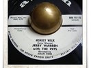 Jerry Warren with The Pets Monkey Walk R&B ROCKER TITTYSHAKER SOUL MOD HEAR 45