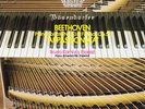 Beethoven Apassionata Ikuyo Kamiya RCA Japan LP direct to disc