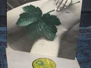 LP EAST OF EDEN: new leaf