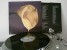 SWANS - The Burning World   Michael Gira Jarboe