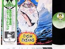 (GONG) STEVE HILLAGE fish rising JAPAN '78 LP w/OBI rare   [FREE P+P]