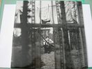 BEATLES PAUL MCCARTNEY LP VINYL CHAOS AND CREATION IN THE BACKYARD VERY RARE