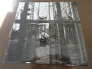 Chaos and creation in the backyard Paul McCartney LP