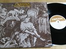 Caravan - Waterloo Lily