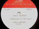JAMES TAYLOR-