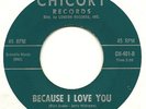 RARE NORTHERN CHIP TAYLOR on CHICORY NM BECAUSE I LOVE YOU HEAR